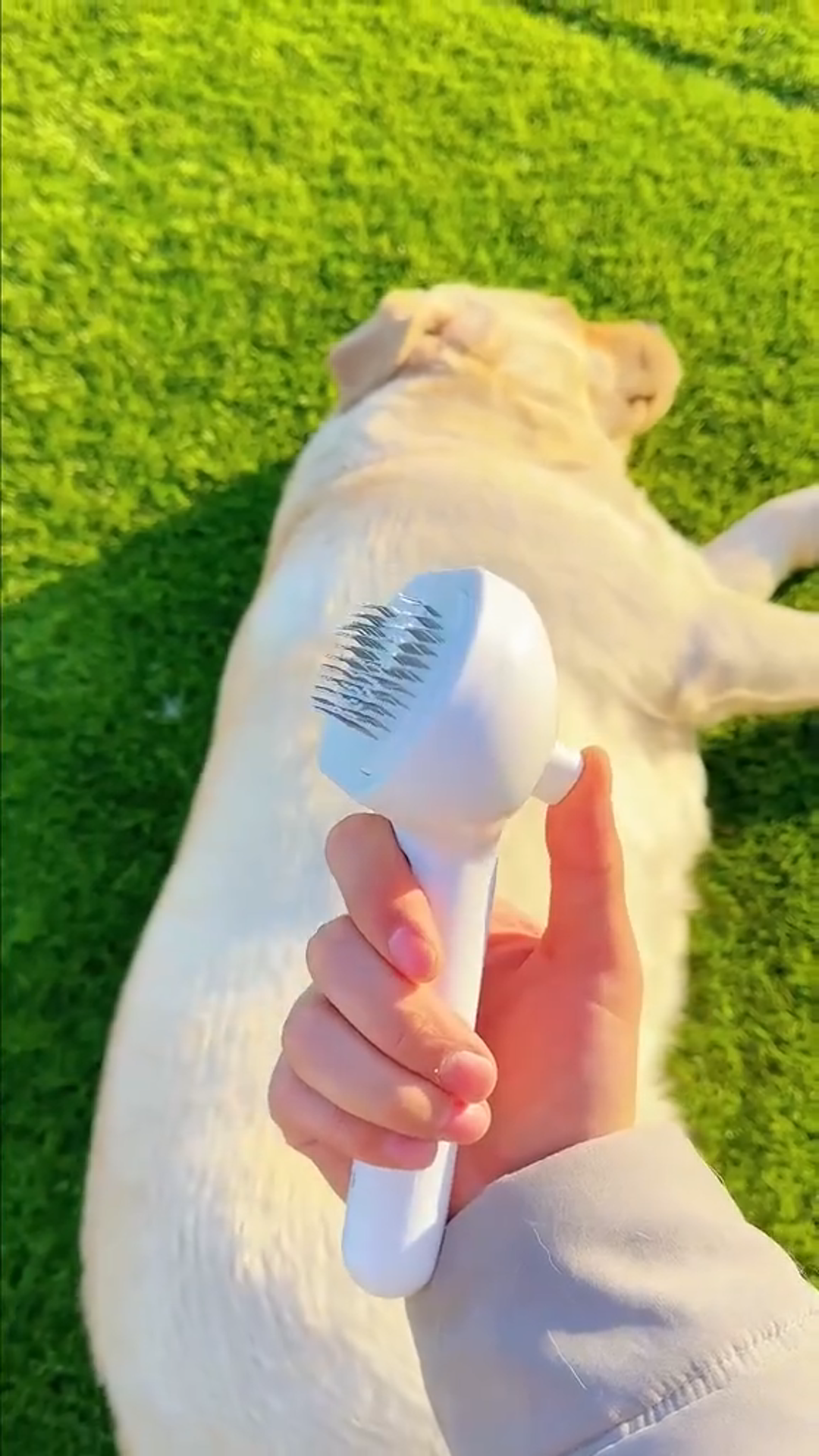 Mist Grooming Brush