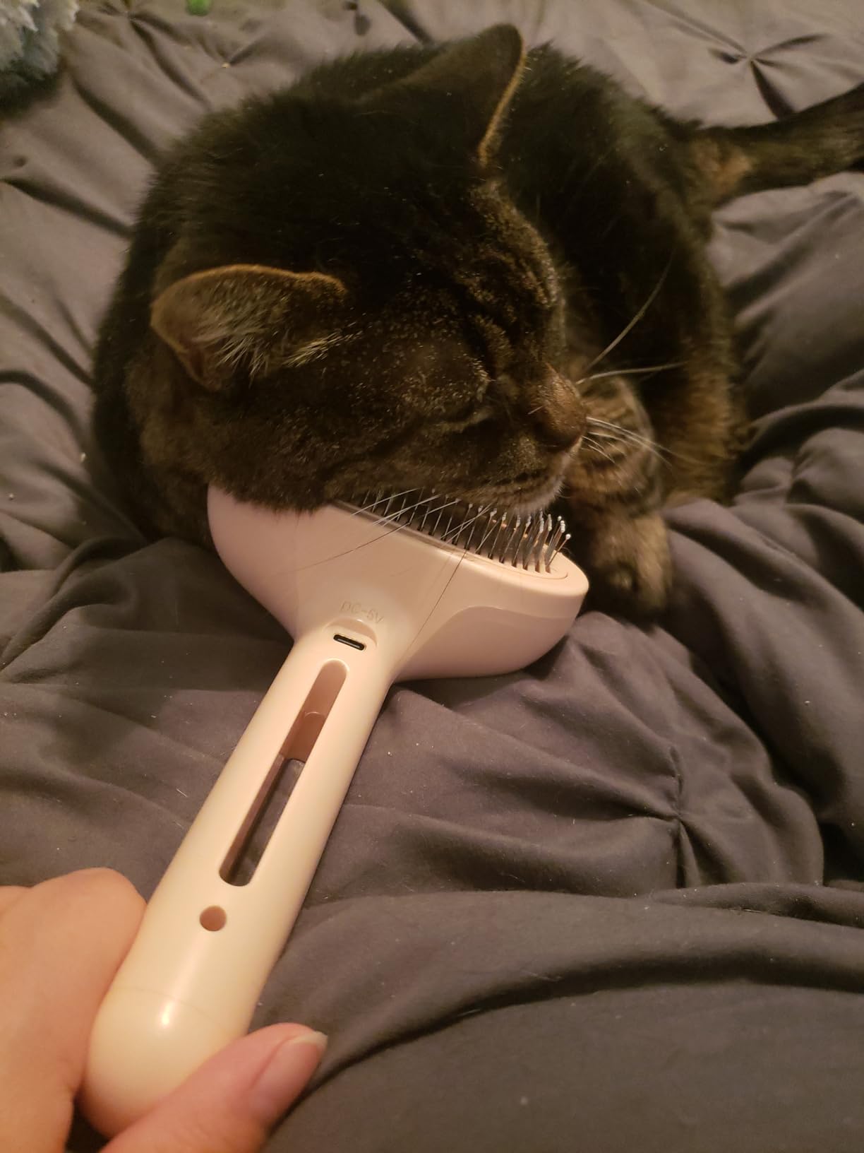 Mist Grooming Brush