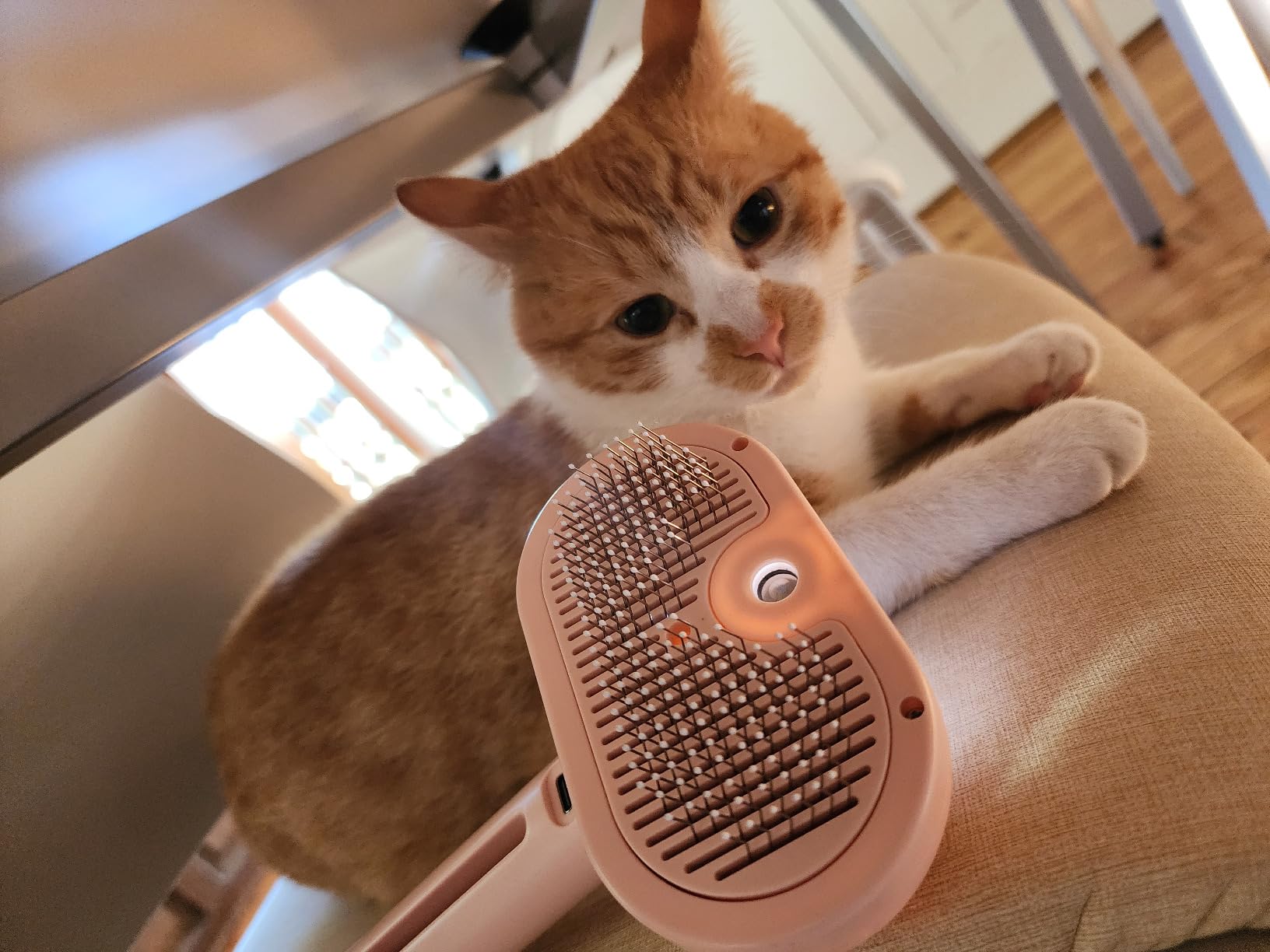 Mist Grooming Brush